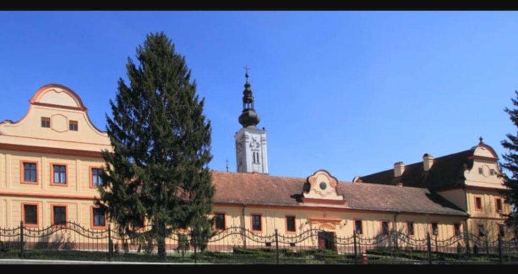 Mila Studio Bács Kültér fotó